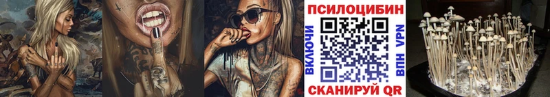 Галлюциногенные грибы ЛСД  МЕГА зеркало  Кондопога 